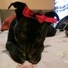 lucyt2127